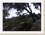 CIMG0044 * 600 x 450 * (47KB)