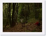 CIMG0222 * 600 x 450 * (44KB)